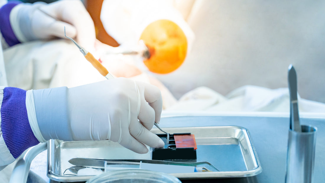 Endodontic Supplier in Texas